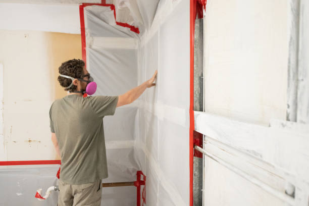 Best Mold Remediation for Healthcare Facilities  in West Branch, MI